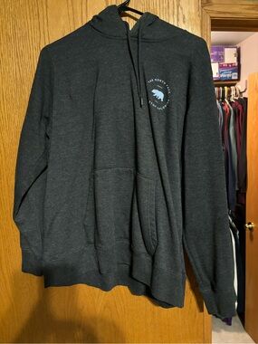 The North Face Charcoal Hoodie with Light Blue Bear Logo Womens Large